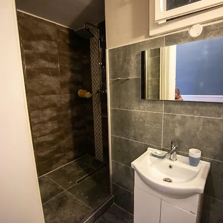 Micsa Steiner Palace Flat Apartment Timisoara