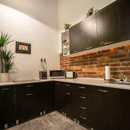 Apartment Micsa Steiner Palace Flat Timisoara