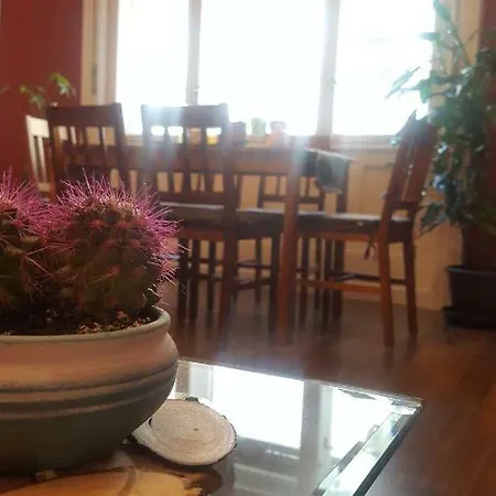 Micsa Steiner Palace Flat Apartment