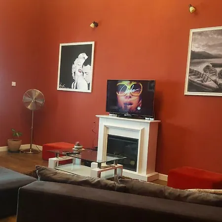 Micsa Steiner Palace Flat Timisoara